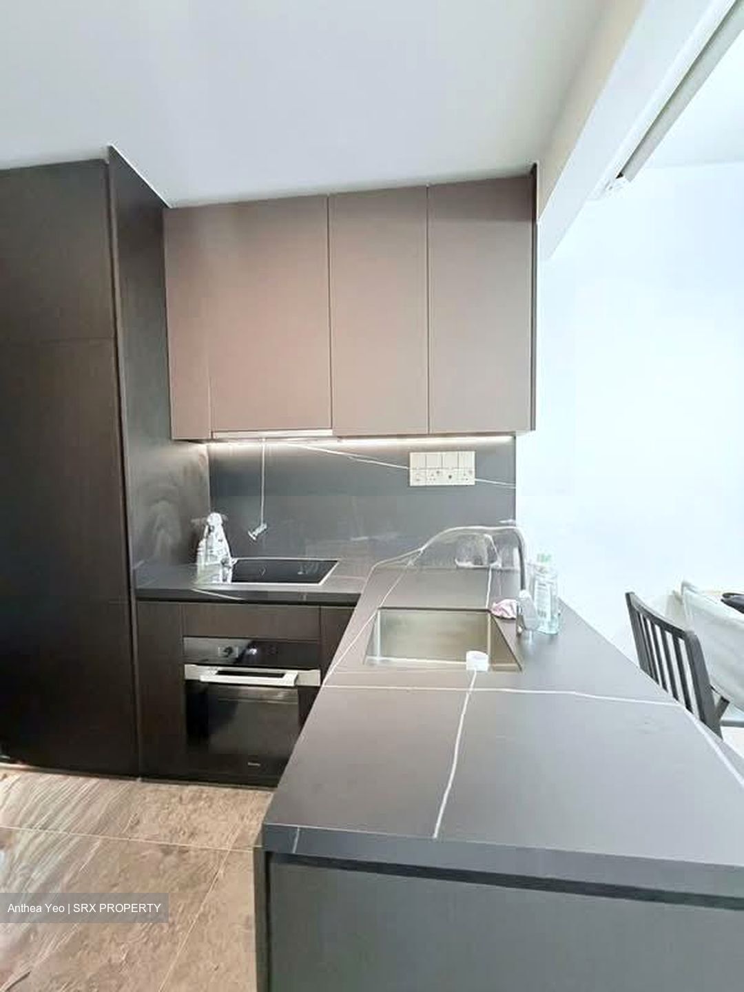 Hyll On Holland (D10), Condominium #564724001